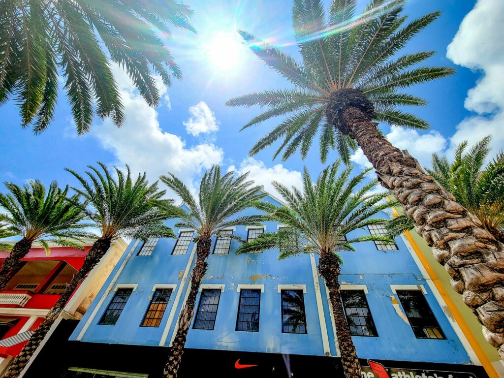 Top 7 Things to Do in Aruba Beyond the Beach