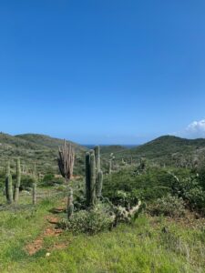 Arikok National Park: A Complete Visitor’s Guide